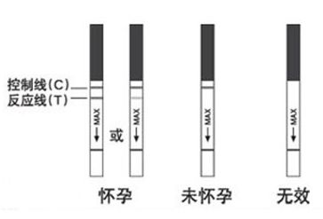 图解验孕棒怎么看 正确使用才能准确验孕 www.91yuer.com